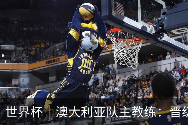 世界杯｜澳大利亚队主教练：晋级淘汰赛是我们应得的